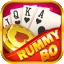 rummy parfect icon