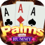 rummy pro cash
