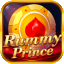 rummy light icon